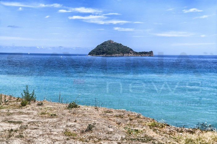 Isola Gallinara, la richiesta del WWF Savona: "Tutela efficace e informazioni sullo status di redazione dei piani di gestione"