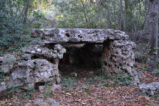 Continuano gli appuntamenti di Geologi a Spasso: Escursione a Verezzi e la Torre di Bastia Continuano gli appuntamenti di Geologi a Spasso: Escursione a Verezzi e la Torre di Bastia