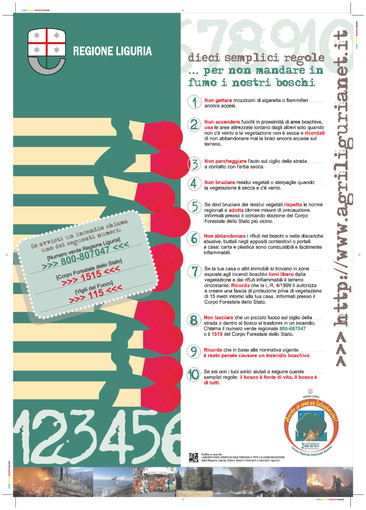 Decretato lo stato di grave pericolosità per gli incendi boschivi per tutto il territorio regionale Decretato lo stato di grave pericolosità per gli incendi boschivi per tutto il territorio regionale