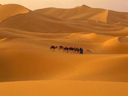 Savona: i Verdi commentano la grave situazione della Libia Savona: i Verdi commentano la grave situazione della Libia