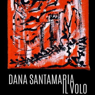 L'artista Dana Santamaria e le sue antinomie esistenziali