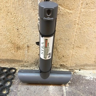 Scarafaggi e topi: a Pietra Ligure al via la disinfestazione integrata straordinaria