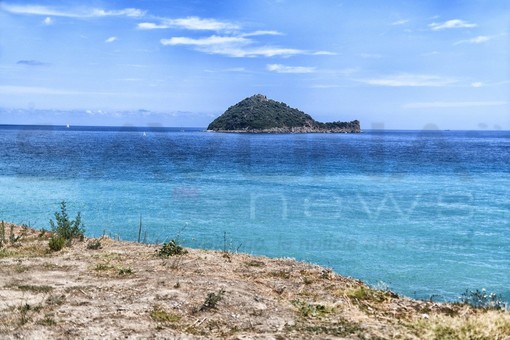 Isola Gallinara, la richiesta del WWF Savona: "Tutela efficace e informazioni sullo status di redazione dei piani di gestione"