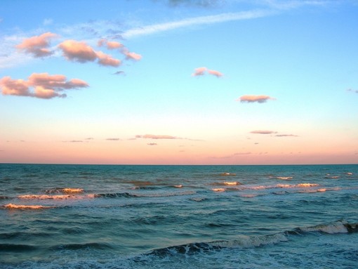 Briano contro Greenpeace, i campionamenti dell'Arpal sono quelli che contano (secondo lui)