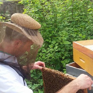 A Cairo la prima edizione della mostra mercato "Api in Piazza"