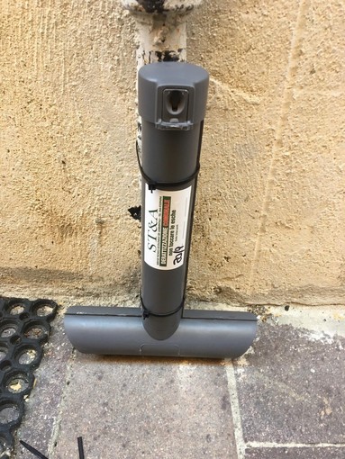 Scarafaggi e topi: a Pietra Ligure al via la disinfestazione integrata straordinaria