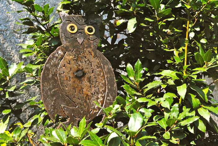 #animalidifinalborgo: un modo alternativo per giocare a Pokémon Go cercando animali che sono opere d'arte