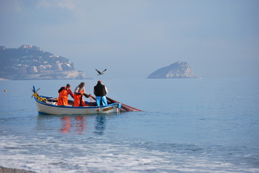 La piccola pesca artigianale del Golfo di Noli" alla Prova del Cuoco La piccola pesca artigianale del Golfo di Noli" alla Prova del Cuoco