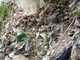 Emergenza rifiuti, da settembre porta a porta obbligatorio per i Comuni sotto i 15mila abitanti: la spazzatura genovese verso Vado