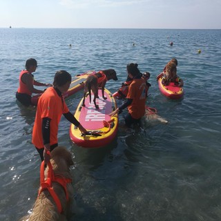 Bagnini a 4 zampe: a Pietra Ligure l'unità cinofila "Dei dell'acqua" (FOTO e VIDEO)