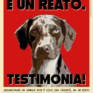 Randagismo, sabato 30 giugno e domenica 1 luglio la Protezione Animali in 140 piazze italiane