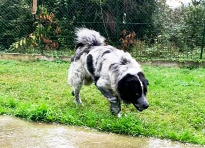 Foto comunicato stampa