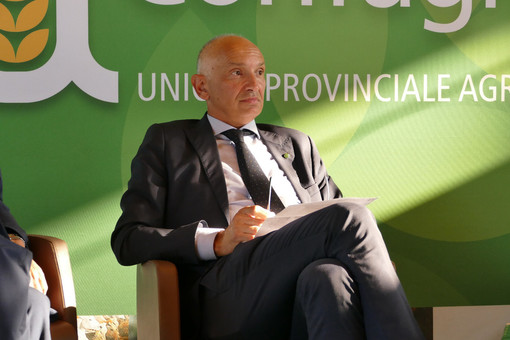Enrico Allasia (Federazione Nazionale Risorse Boschive Confagricoltura): "Il bosco va gestito per tutelare clima ed economia" Enrico Allasia (Federazione Nazionale Risorse Boschive Confagricoltura): "Il bosco va gestito per tutelare clima ed economia"