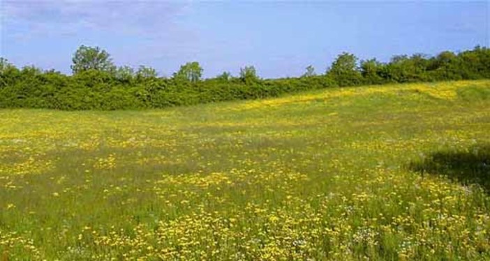 Alassio:etica ambientale e umanesimo ecologico, un libro