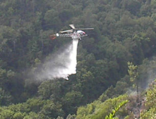 immagine di repertorio