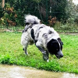 Foto comunicato stampa