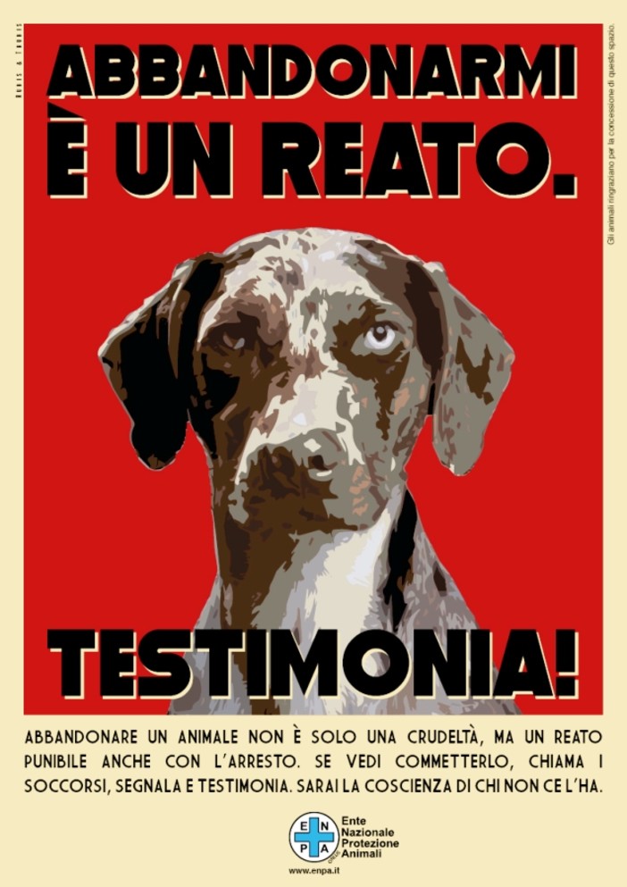 Randagismo, sabato 30 giugno e domenica 1 luglio la Protezione Animali in 140 piazze italiane