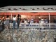 Albenga, il maltempo colpisce, ma non ferma, la discoteca Essauoira
