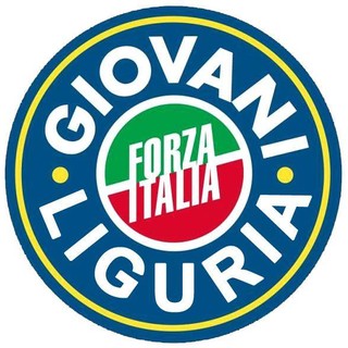 Matteo Rosso in "registrorazzista.it", il sostegno dei giovani di Forza Italia: "Schedatura arbitraria"