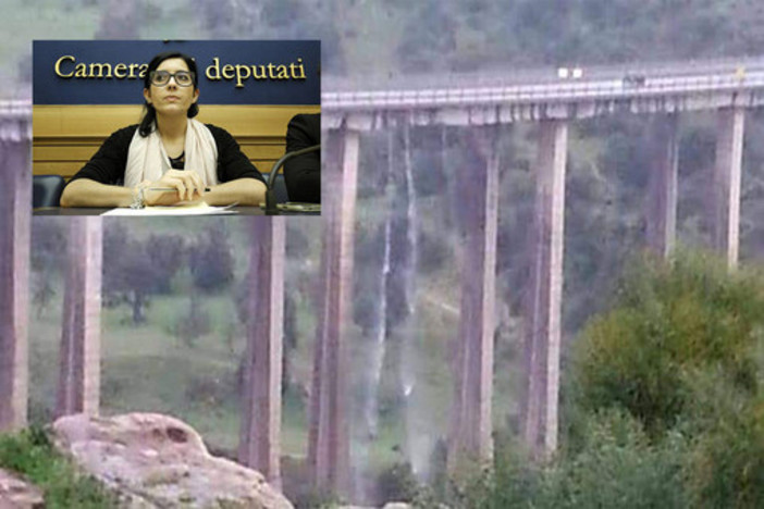 Una delle immagini che sta circolando sui social network. In alto a sinistra la deputata Fabiana Dadone