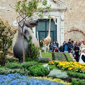 Fior d’Albenga 2026: il gioco fiorisce nel centro storico con piante e aromatiche