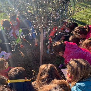 Festa degli Alberi, gli alunni delle scuole piantano un ulivo nel giardino della Pagoda Festa degli Alberi, gli alunni delle scuole piantano un ulivo nel giardino della Pagoda