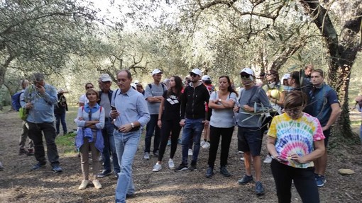 Domenica 29 ottobre ad Andora ritorna la Camminata fra gli ulivi Domenica 29 ottobre ad Andora ritorna la Camminata fra gli ulivi