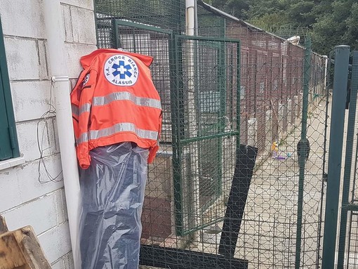 Emergenza caldo al canile di Albenga, i volontari: "La aree ombreggiate sono ridottissime" Emergenza caldo al canile di Albenga, i volontari: "La aree ombreggiate sono ridottissime"