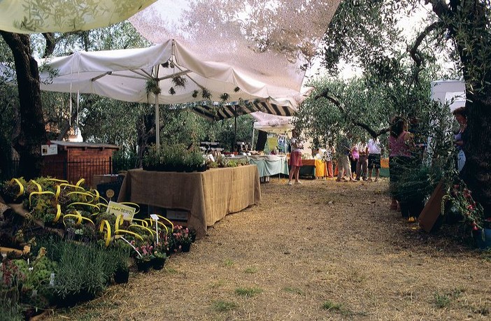 Andora, inaugurata la XVI edizione della Feste delle Erbe