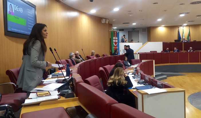 Consiglio regionale sui trasporti, la Lega: "Al Mit al lavoro per risolvere le criticità, da Pd solo sciacallaggio"