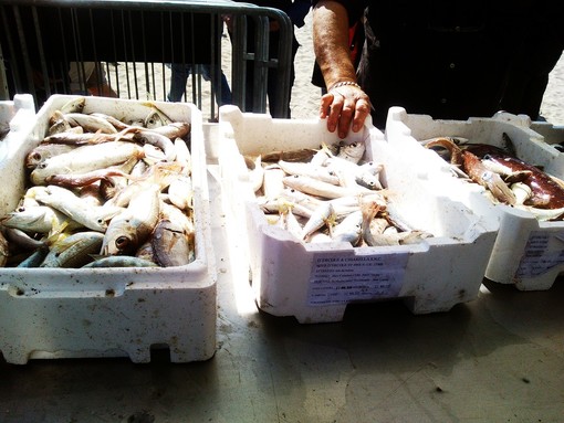 Appuntamento per sabato prossimo con la pesca alla sciabica a Finalmarina