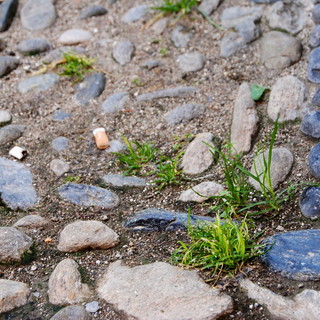 Parte dai cittadini finalborghesi l'iniziativa spontanea "Borgo Pulito"
