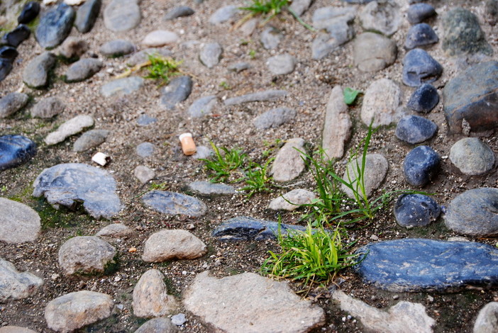 Parte dai cittadini finalborghesi l'iniziativa spontanea "Borgo Pulito"