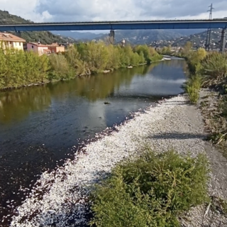 Aree esondabili, M5S: “Costruire in zone 'a rischio idraulico limitato' è pura follia”