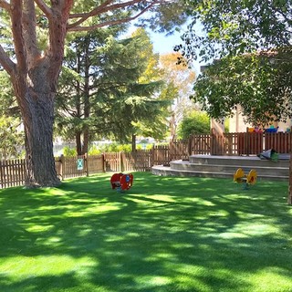 Un nuovo prato in sintetico per l'Asilo Nido “Roberto di Ferro” ad Albenga Un nuovo prato in sintetico per l'Asilo Nido “Roberto di Ferro” ad Albenga