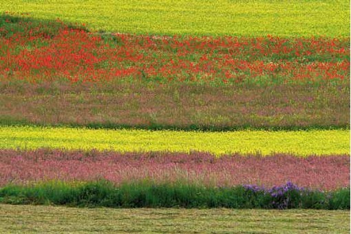 Mostra collettiva “Priamart” Mostra collettiva “Priamart”