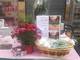 Albenga, “Festa della Mamma”: il 10 e 11 maggio banchetto benefico di Fondazione ANT Italia Onlus