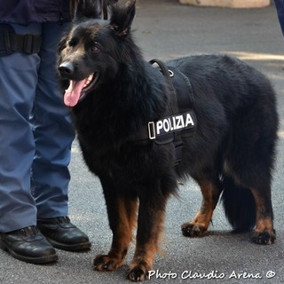 Reati del mondo giovanile: i controlli della Polizia si spostano in Valbormida