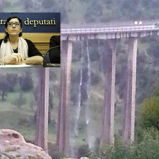 Una delle immagini che sta circolando sui social network. In alto a sinistra la deputata Fabiana Dadone