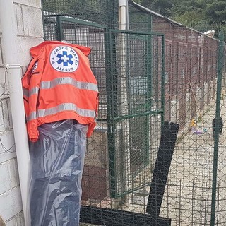 Emergenza caldo al canile di Albenga, i volontari: "La aree ombreggiate sono ridottissime"