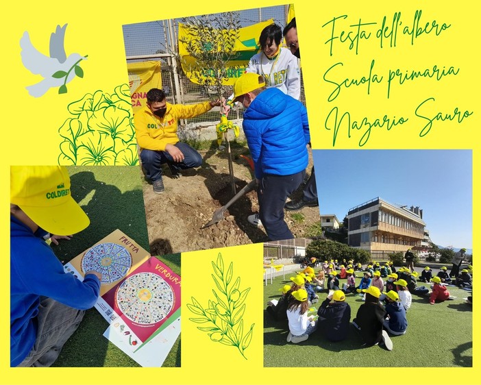 Coldiretti, Giornata internazionale delle Foreste, sos per 11 milioni di ettari di bosco