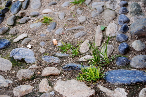 Parte dai cittadini finalborghesi l'iniziativa spontanea "Borgo Pulito" Parte dai cittadini finalborghesi l'iniziativa spontanea "Borgo Pulito"