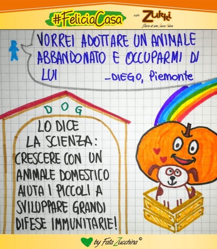 FavoleaCasa: Fata Zucchina legge e commenta "il prezzo del cagnolino", racconto per l'anima FavoleaCasa: Fata Zucchina legge e commenta "il prezzo del cagnolino", racconto per l'anima