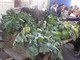 Fuoriporta: a Margarita (Cn) torna la Sagra d’l Coj: tre giorni di festa, tradizione e sapori per la 21ª edizione