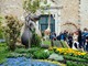 Fior d’Albenga 2026: il gioco fiorisce nel centro storico con piante e aromatiche