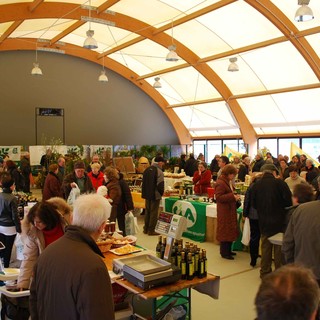 Finale Ligure: al via la seconda edizione della Festa dell'Olio Nuovo