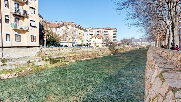 Intervento sul Bormida a Carcare, interrogazione in Consiglio regionale di Arboscello (Pd): "Si abbatterebbero 25 querce trentennali e un platano secolare"