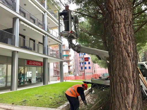 Albenga, continua il rinnovamento e potenziamento dell'illuminazione pubblica
