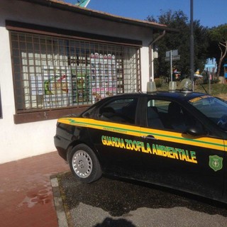 Bilancio del 2019 per l'associazione Fare Ambiente della provincia di Savona: "Noi, amici della gente e degli animali"