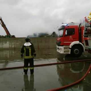 FG Riciclaggi: secondo Coldiretti non è da escludere ipotesi dolosa